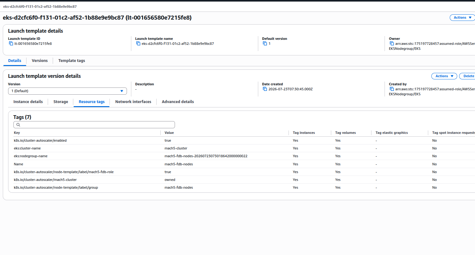 EKS node group ASG launch template resource tags