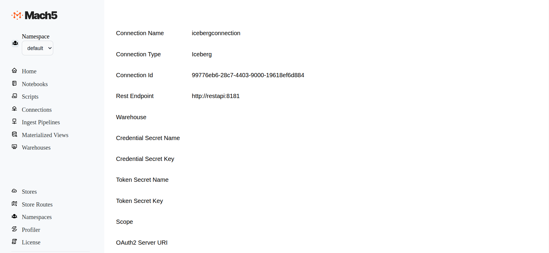 IcebergRESTConnectionDetails